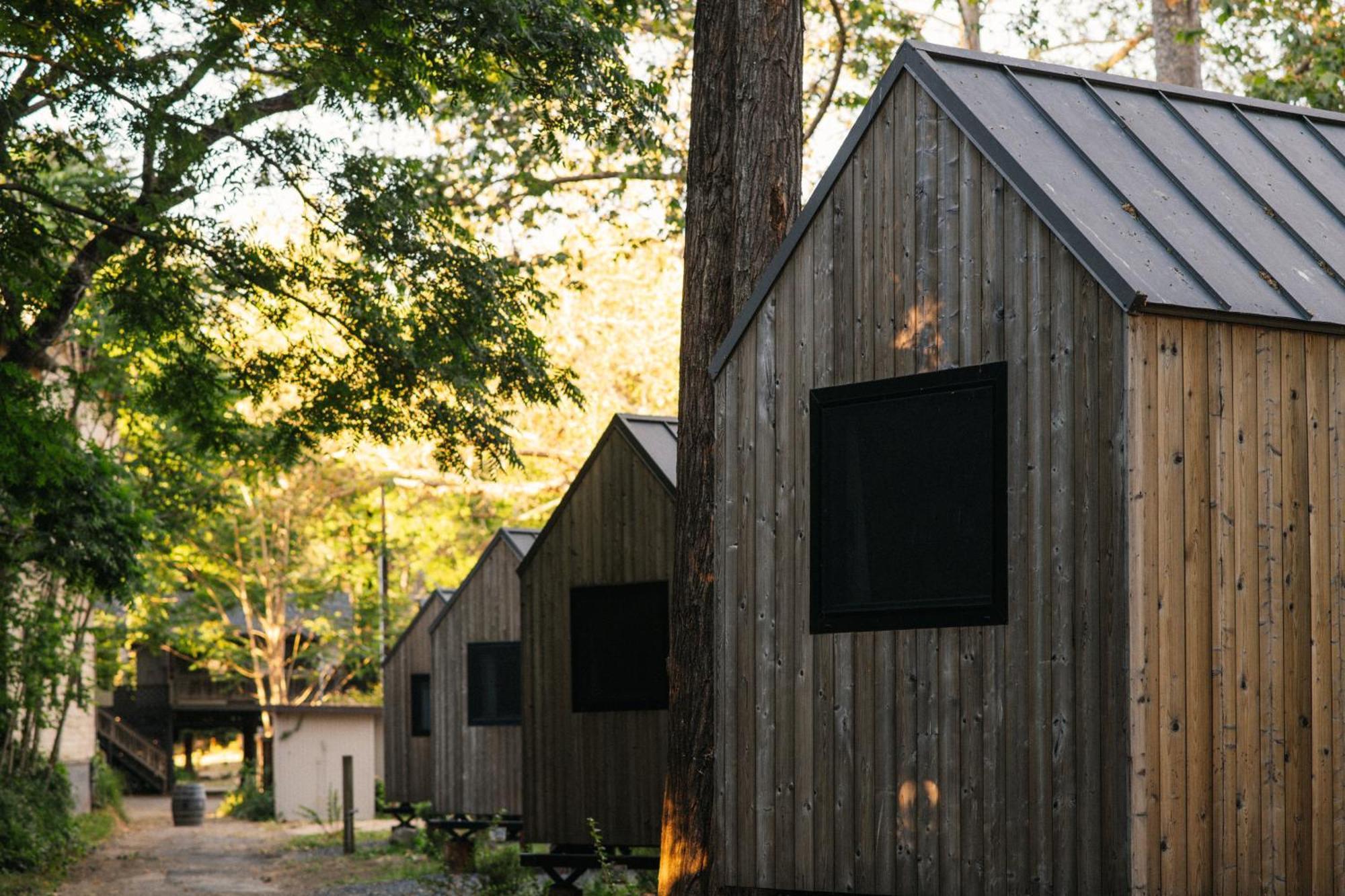 Johnson'S Beach Cabins And Campground Guerneville Eksteriør billede